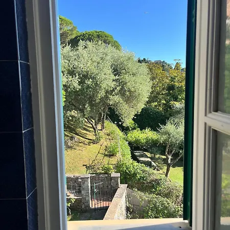 Apartamento Sea-view With Balcony & Free Private Parking, Camogli